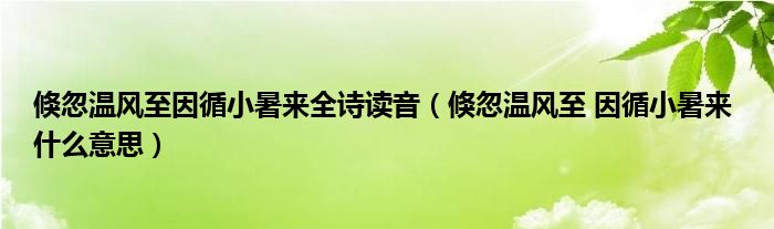 倏忽溫風(fēng)至因循小暑來(lái)全詩(shī)讀音（倏忽溫風(fēng)至 因循小暑來(lái) 什么意思）