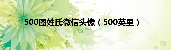 500圖姓氏微信頭像（500英里）