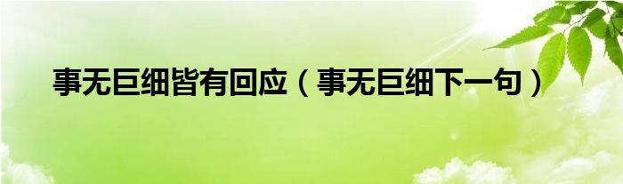 事無巨細(xì)皆有回應(yīng)（事無巨細(xì)下一句）