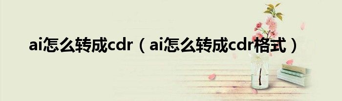 ai怎么轉(zhuǎn)成cdr（ai怎么轉(zhuǎn)成cdr格式）