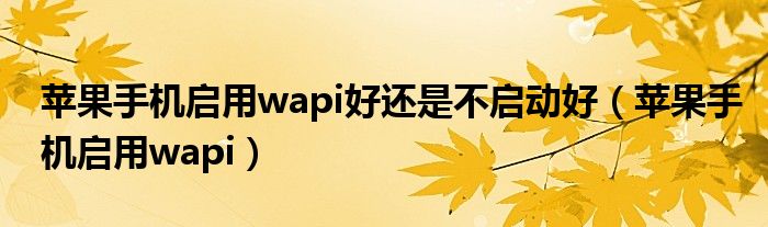 蘋果手機(jī)啟用wapi好還是不啟動(dòng)好（蘋果手機(jī)啟用wapi）