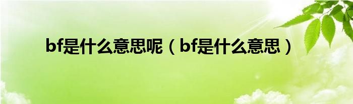 bf是什么意思呢（bf是什么意思）