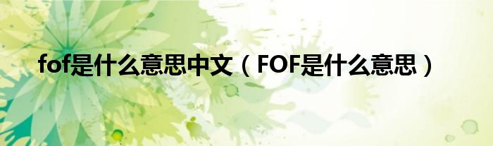 fof是什么意思中文（FOF是什么意思）