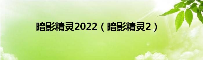 暗影精靈2022（暗影精靈2）