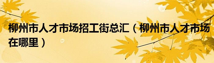 柳州市人才市場招工街總匯（柳州市人才市場在哪里）