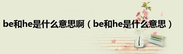 be和he是什么意思啊（be和he是什么意思）