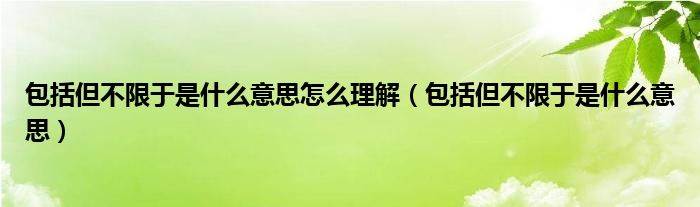 包括但不限于是什么意思怎么理解（包括但不限于是什么意思）