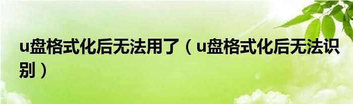 u盤格式化后無法用了（u盤格式化后無法識別）