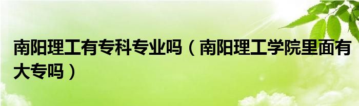 南陽(yáng)理工有?？茖I(yè)嗎（南陽(yáng)理工學(xué)院里面有大專嗎）