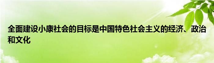 全面建設(shè)小康社會的目標(biāo)是中國特色社會主義的經(jīng)濟(jì)、政治和文化