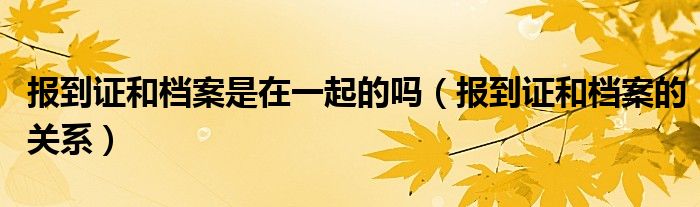 報(bào)到證和檔案是在一起的嗎（報(bào)到證和檔案的關(guān)系）