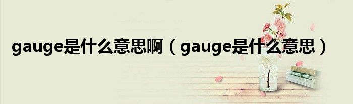 gauge是什么意思?。╣auge是什么意思）