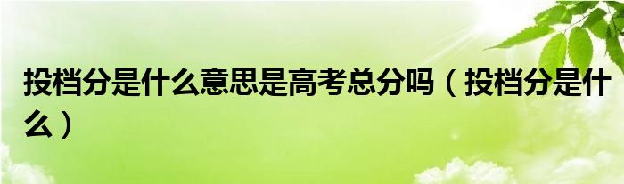 投檔分是什么意思是高考總分嗎（投檔分是什么）