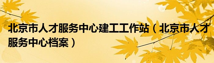 北京市人才服務中心建工工作站（北京市人才服務中心檔案）