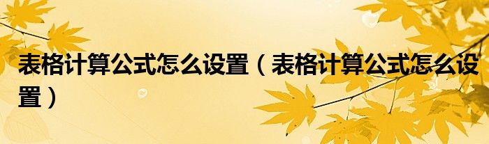 表格計算公式怎么設(shè)置（表格計算公式怎么設(shè)置）