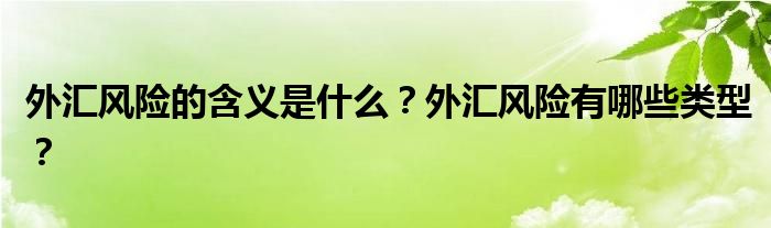 外匯風險的含義是什么？外匯風險有哪些類型？