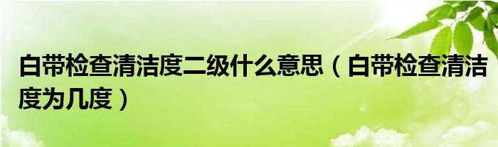 白帶檢查清潔度二級(jí)什么意思（白帶檢查清潔度為幾度）