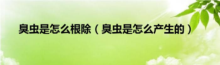 臭蟲是怎么根除（臭蟲是怎么產(chǎn)生的）