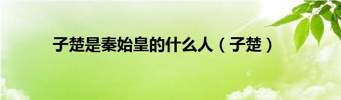 子楚是秦始皇的什么人（子楚）