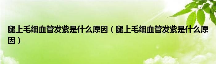 腿上毛細血管發(fā)紫是什么原因（腿上毛細血管發(fā)紫是什么原因）