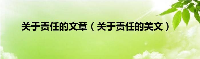 關(guān)于責(zé)任的文章（關(guān)于責(zé)任的美文）