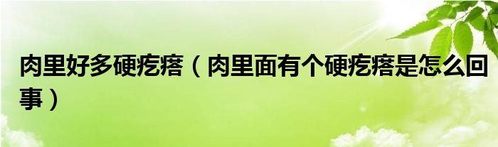 肉里好多硬疙瘩（肉里面有個(gè)硬疙瘩是怎么回事）