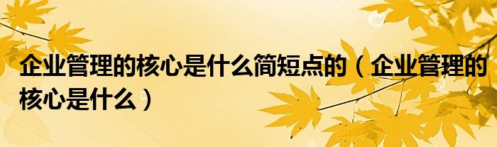 企業(yè)管理的核心是什么簡短點(diǎn)的（企業(yè)管理的核心是什么）