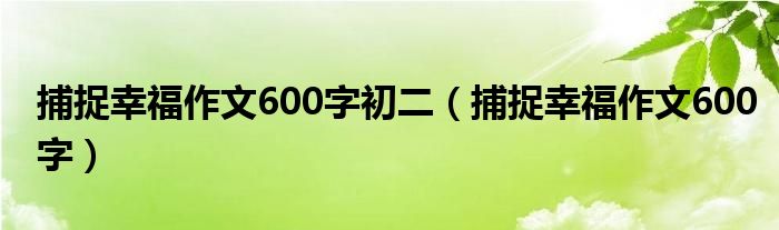 捕捉幸福作文600字初二（捕捉幸福作文600字）