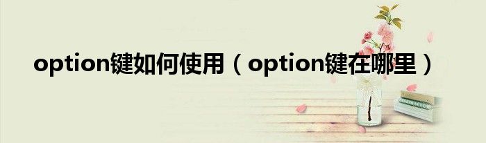 option鍵如何使用（option鍵在哪里）