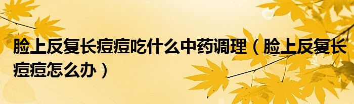 臉上反復(fù)長痘痘吃什么中藥調(diào)理（臉上反復(fù)長痘痘怎么辦）