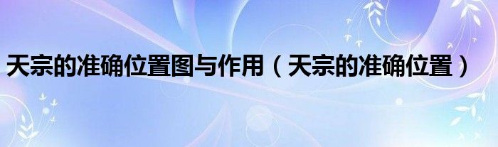 天宗的準確位置圖與作用（天宗的準確位置）