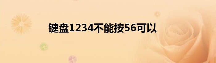 鍵盤1234不能按56可以