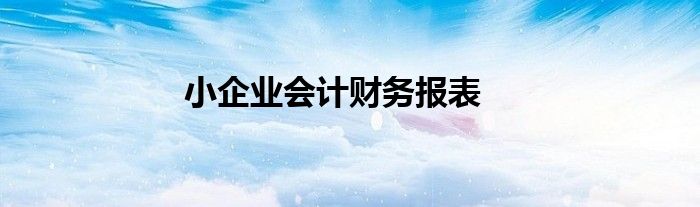 小企業(yè)會計財務(wù)報表