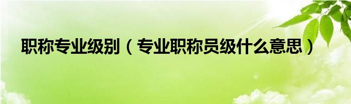 職稱專業(yè)級(jí)別（專業(yè)職稱員級(jí)什么意思）