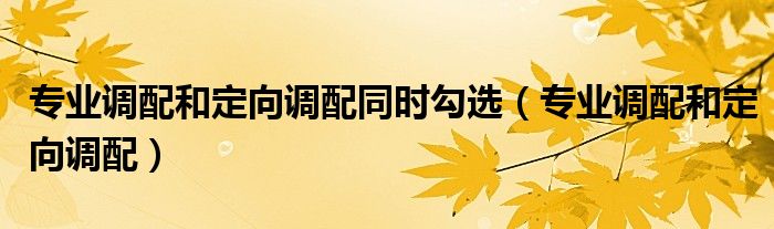 專業(yè)調(diào)配和定向調(diào)配同時勾選（專業(yè)調(diào)配和定向調(diào)配）