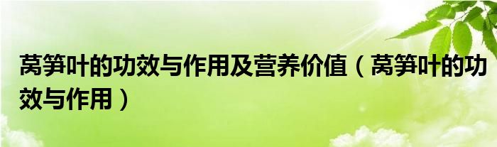 萵筍葉的功效與作用及營(yíng)養(yǎng)價(jià)值（萵筍葉的功效與作用）