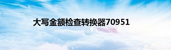 大寫金額檢查轉(zhuǎn)換器70951