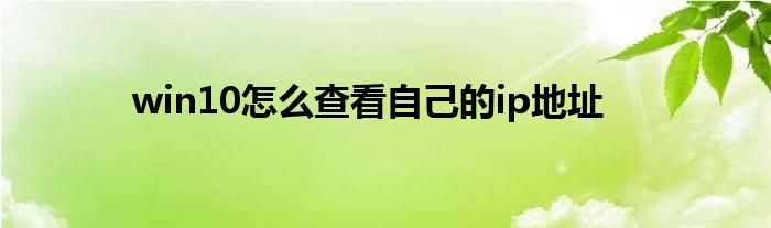 win10怎么查看自己的ip地址