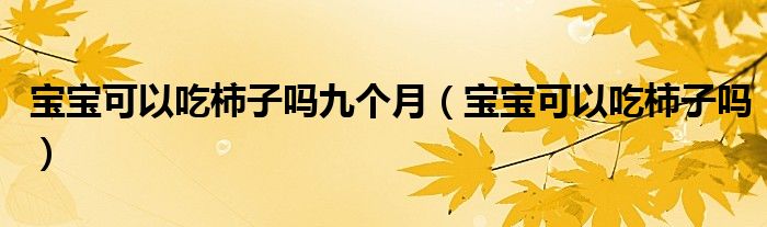 寶寶可以吃柿子嗎九個(gè)月（寶寶可以吃柿子嗎）