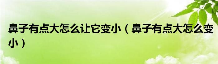 鼻子有點(diǎn)大怎么讓它變小（鼻子有點(diǎn)大怎么變?。?class='thumb lazy' /></a>
		    <header>
		<h2><a  href=