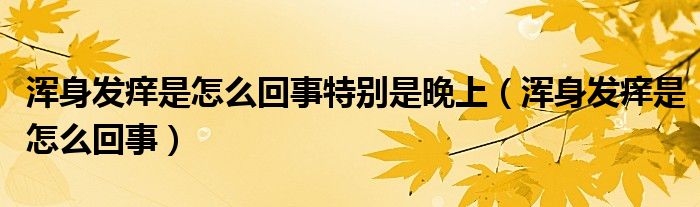 渾身發(fā)癢是怎么回事特別是晚上（渾身發(fā)癢是怎么回事）