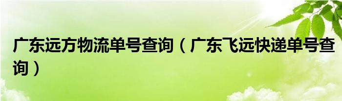 廣東遠方物流單號查詢（廣東飛遠快遞單號查詢）