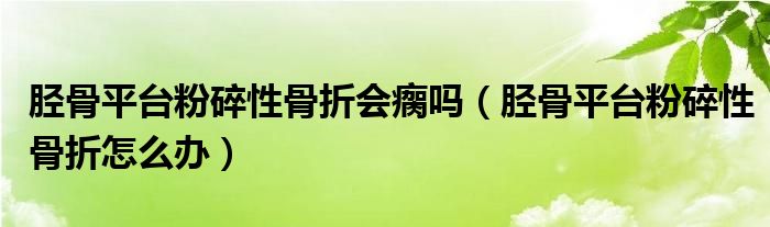 脛骨平臺(tái)粉碎性骨折會(huì)瘸嗎（脛骨平臺(tái)粉碎性骨折怎么辦）