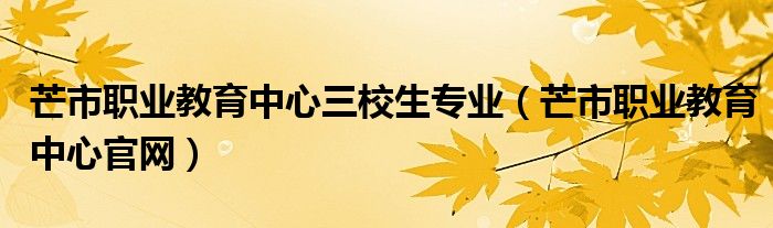 芒市職業(yè)教育中心三校生專業(yè)（芒市職業(yè)教育中心官網(wǎng)）