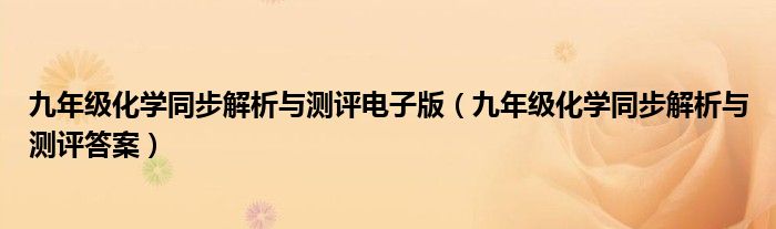 九年級(jí)化學(xué)同步解析與測評(píng)電子版（九年級(jí)化學(xué)同步解析與測評(píng)答案）