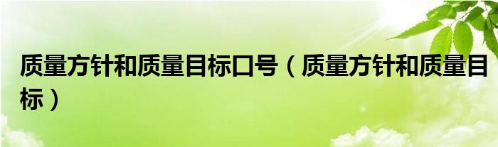 質(zhì)量方針和質(zhì)量目標(biāo)口號(hào)（質(zhì)量方針和質(zhì)量目標(biāo)）