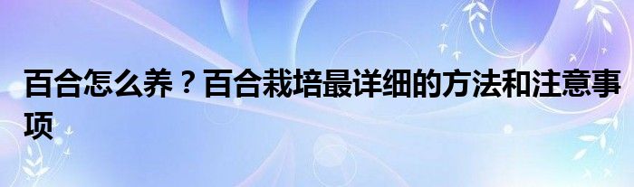 百合怎么養(yǎng)？百合栽培最詳細(xì)的方法和注意事項