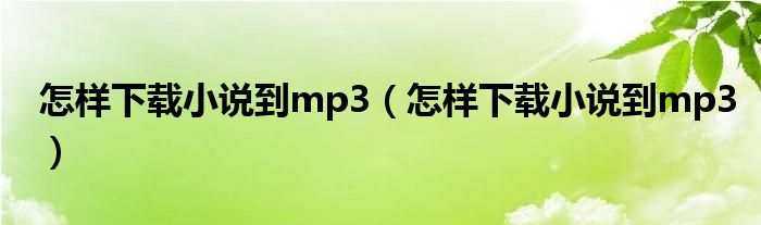 怎樣下載小說到mp3（怎樣下載小說到mp3）