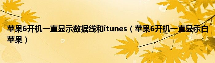 蘋果6開機(jī)一直顯示數(shù)據(jù)線和itunes（蘋果6開機(jī)一直顯示白蘋果）