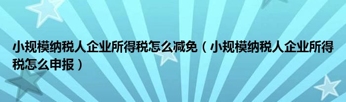 小規(guī)模納稅人企業(yè)所得稅怎么減免（小規(guī)模納稅人企業(yè)所得稅怎么申報(bào)）